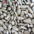 China Wholesale Cheap Price Bakery Grade & Confectionary Grade Sunflower Seeds Kernels